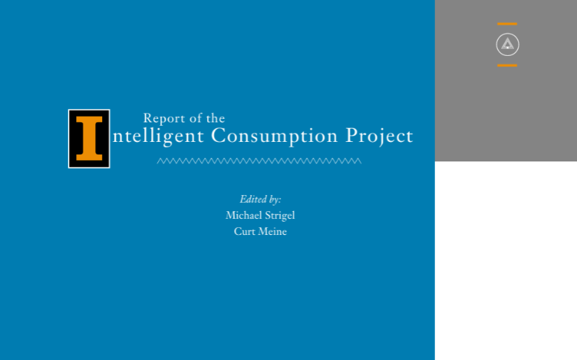  Report of the Intelligent Consumption Project